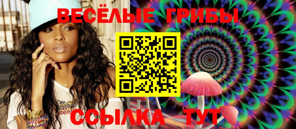 Псилоцибиновые грибы Psilocybine cubensis Иваново